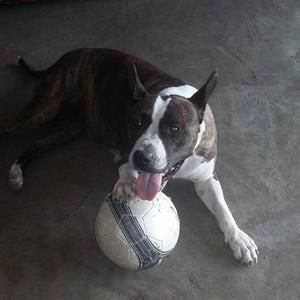 Meet your Posher, Bryan